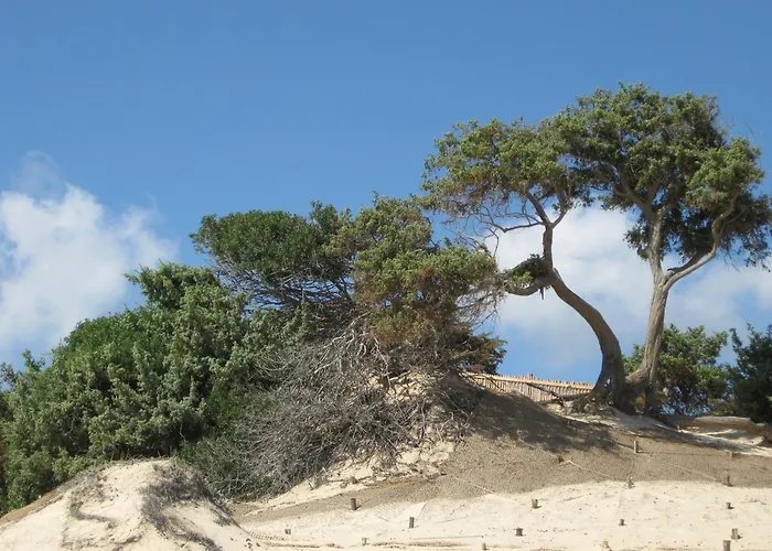 Вилла Fernando *
